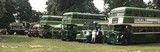 Click on photo to see an enlargement